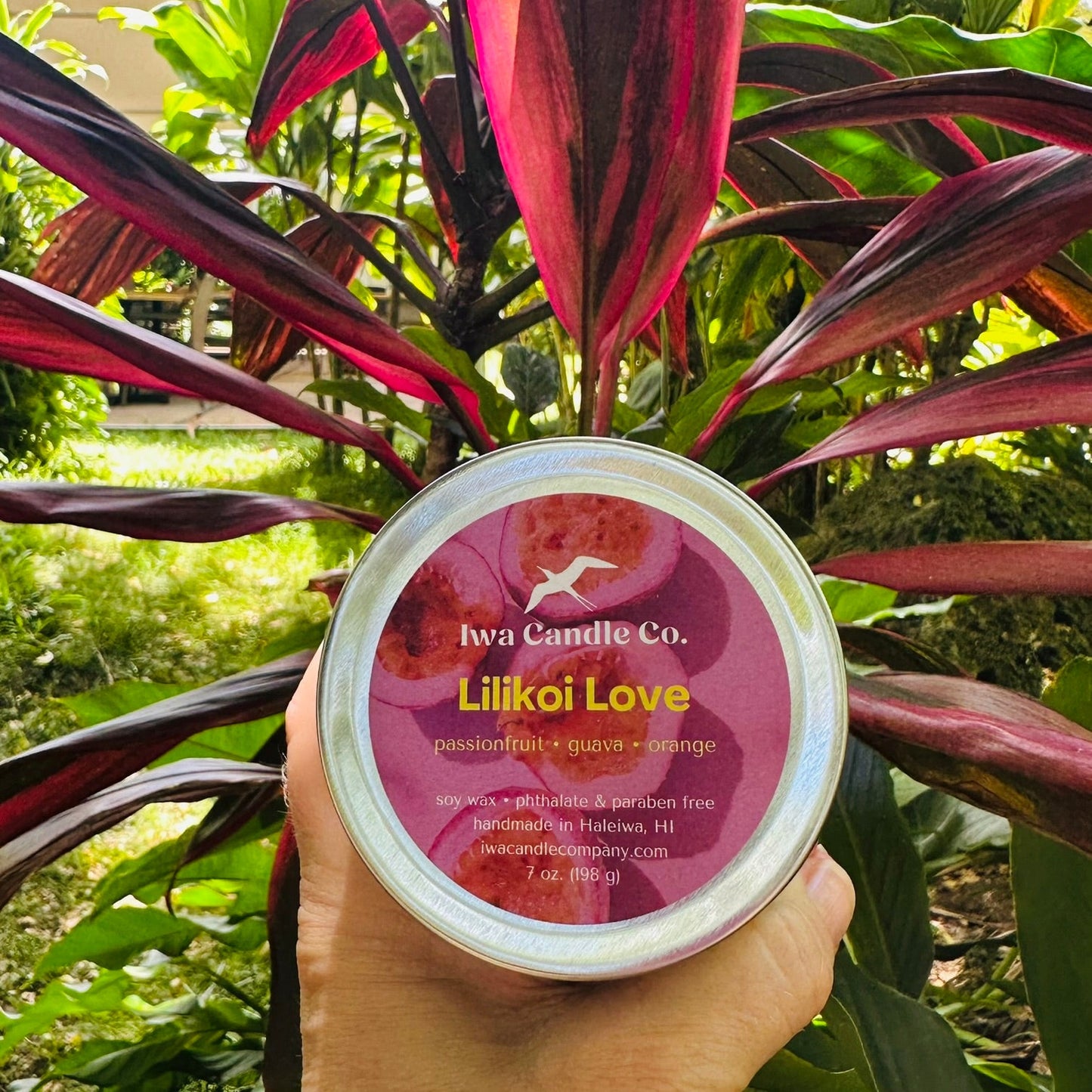 A hand holds a round tin of a lilikoi wax candle in front of a large red and green tropical plant