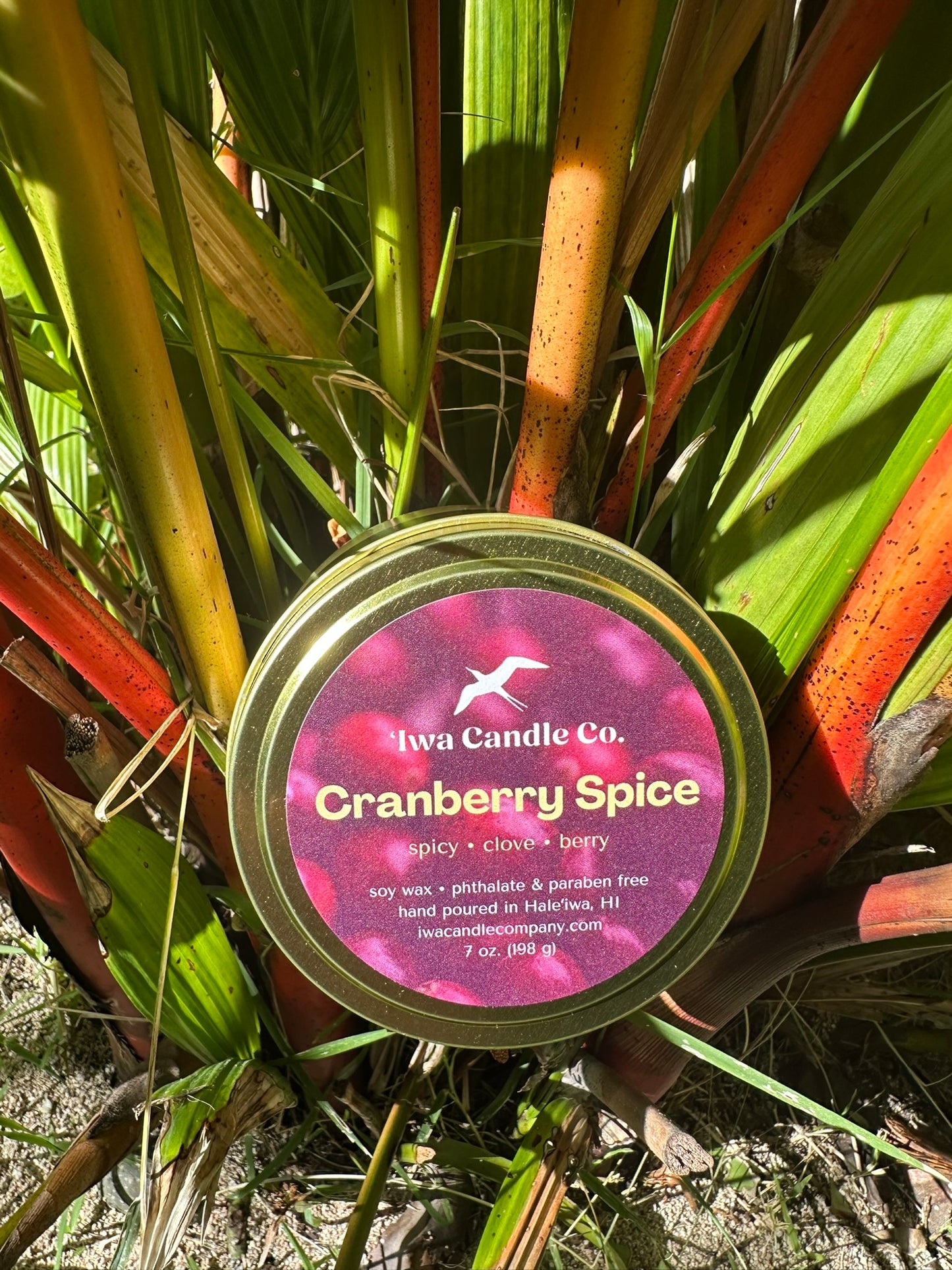 Cranberry Spice Candle