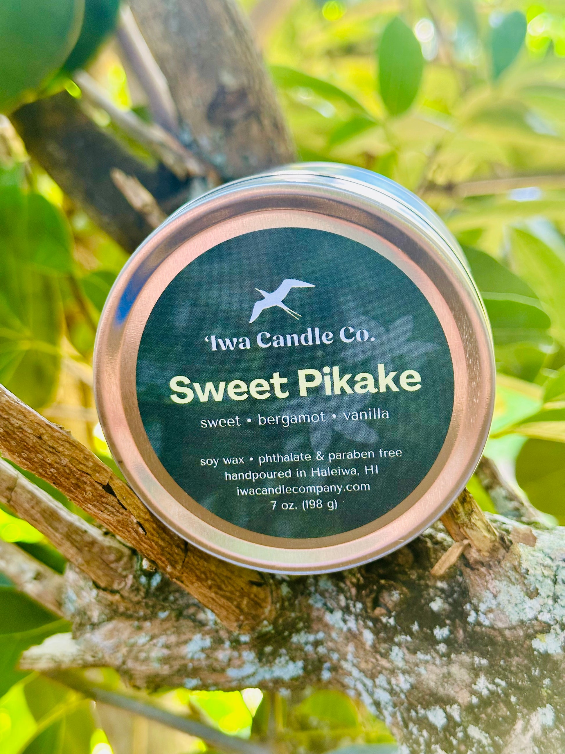 A round tin of Iwa Candle Co. Sweet Pikake soy wax candle, placed on a tree branch with green leaves in the background.