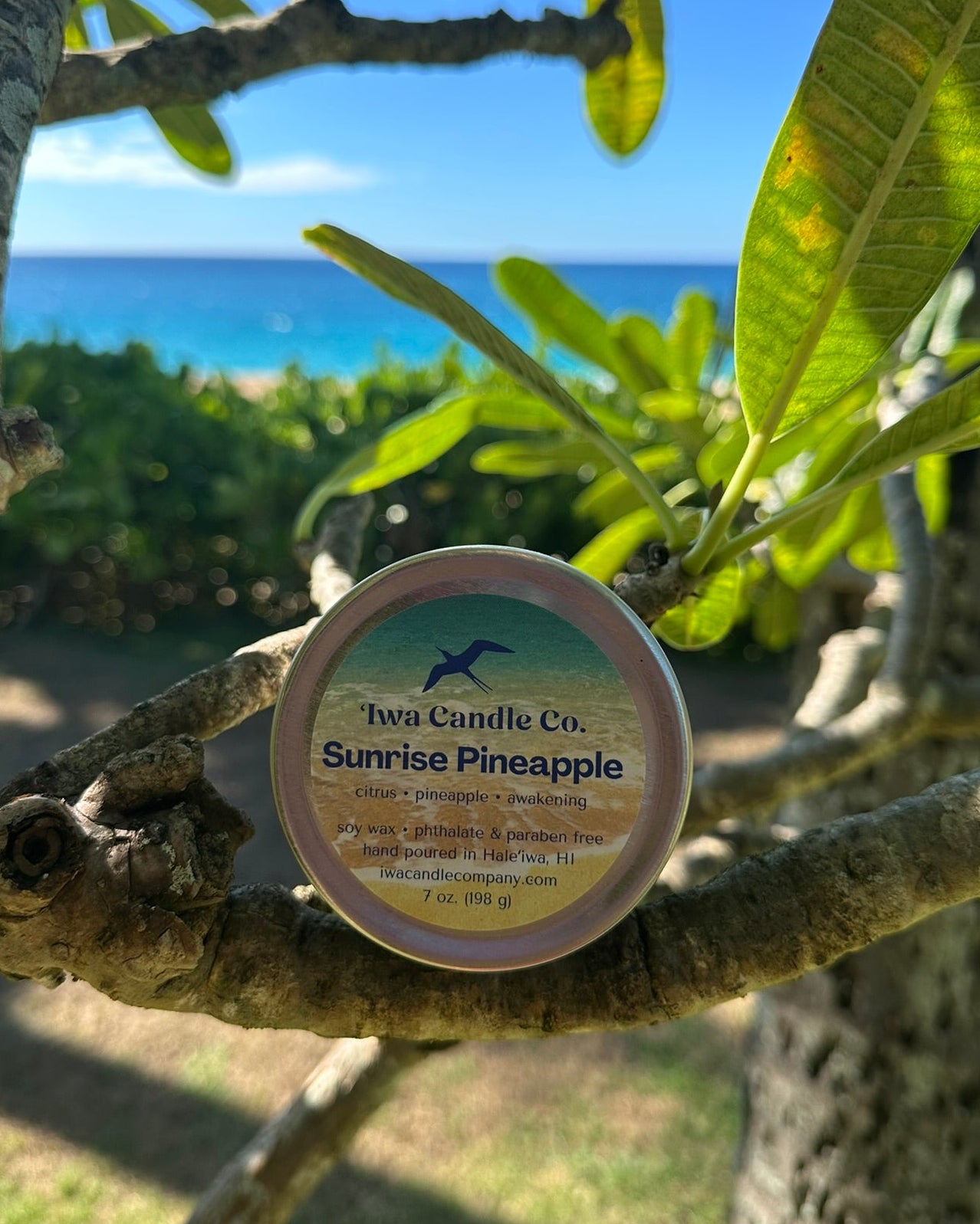 A round tin of a pineapple scented candle is nestled among green leaves on a tree branch, with a blurred tropical ocean and beach background.