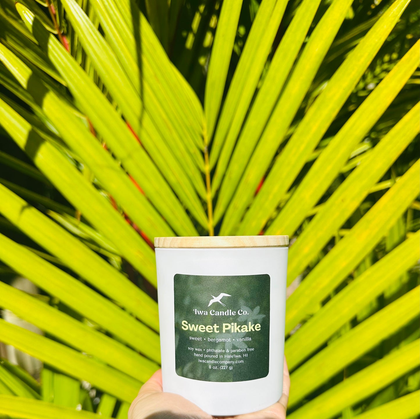 A hand holds a white candle jar in front of bright green palm leaves.